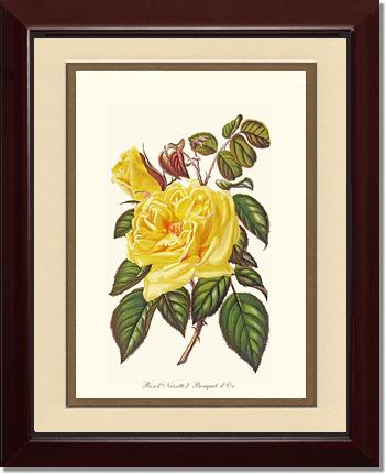 Rose Wall Art Print: Bouquet d Or - Vintage Botanical Wall Decor- Charting Nature