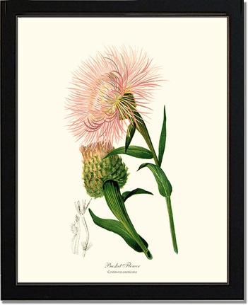Basket Flower | Flower/Floral Art Print