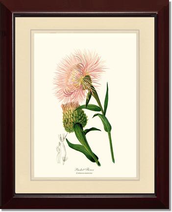 Basket Flower | Flower/Floral Art Print