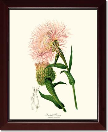 Basket Flower | Flower/Floral Art Print