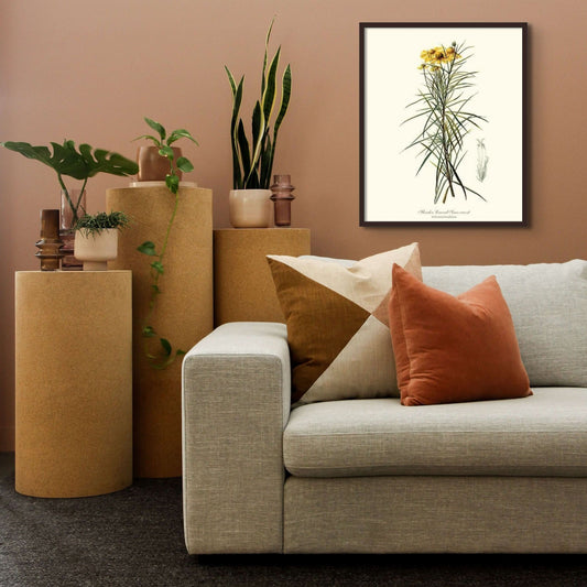 Sneezewort, Slender-Leaved | Flower/Floral Art Print