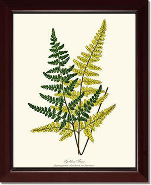 Gold Fern Botanical Wall Art Print-Charting Nature