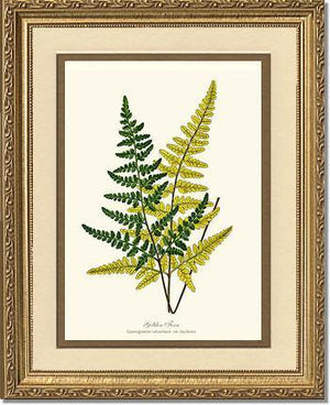 Gold Fern Botanical Wall Art Print-Charting Nature