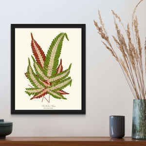 Pteris aspericaulis Botanical Wall Art Print-Charting Nature