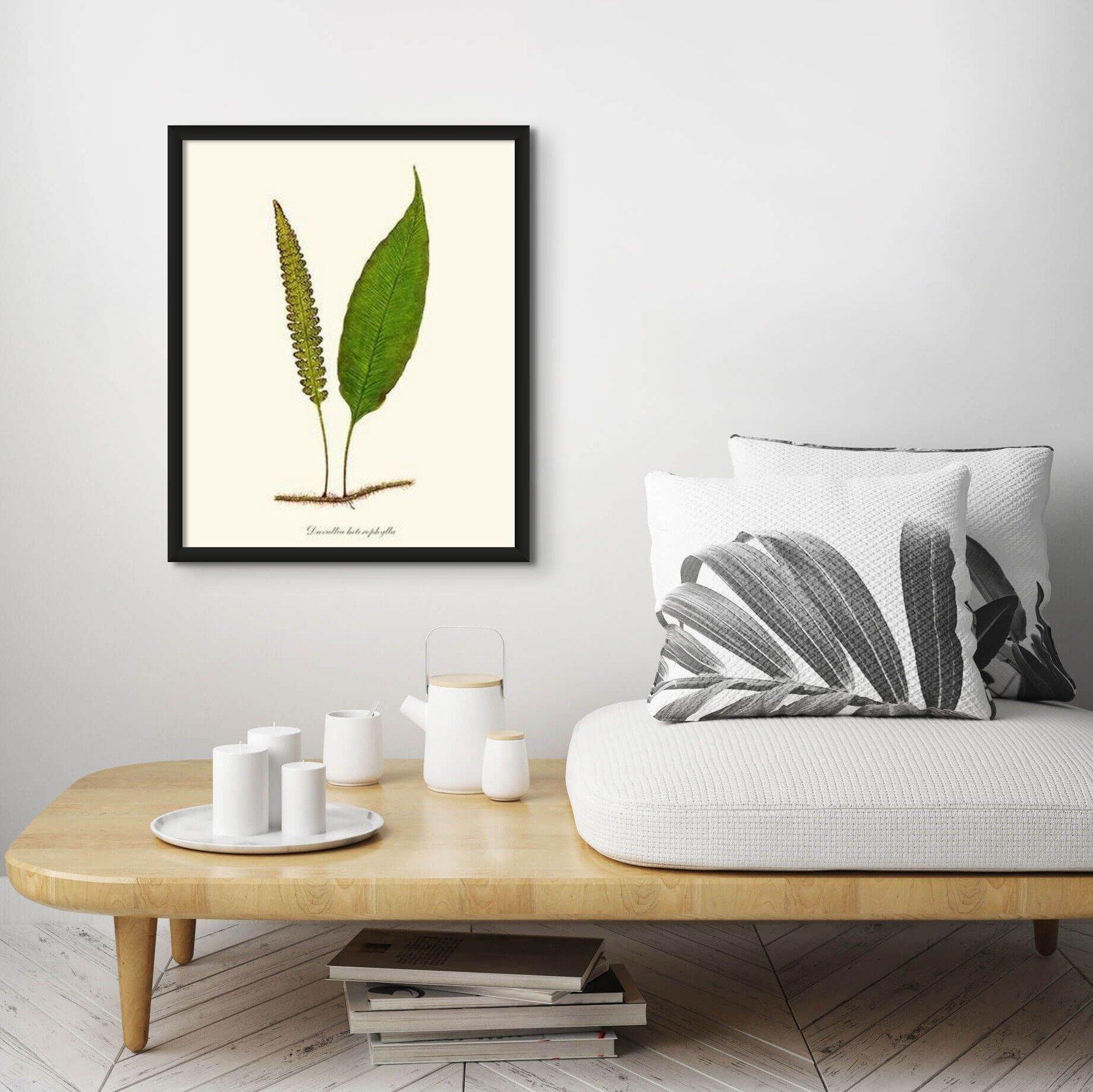 Davallia heterophylla Botanical Wall Art Print-Charting Nature