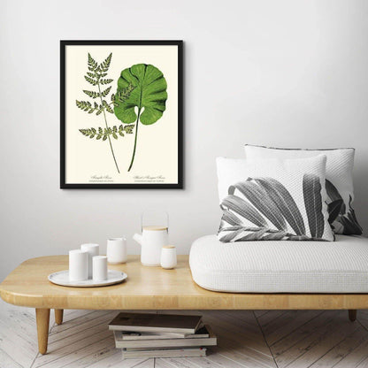 Fragile-Hart's Tongue Fern Botanical Wall Art Print-Charting Nature