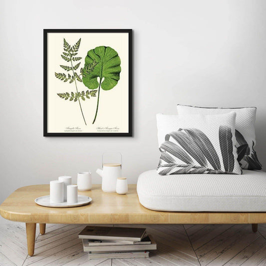 Fragile-Hart's Tongue Fern Botanical Wall Art Print-Charting Nature