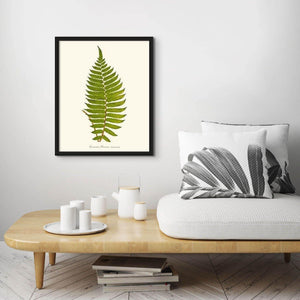 Lomaria procera Botanical Wall Art Print-Charting Nature