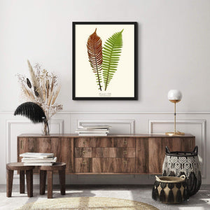 Lomaria nuda Botanical Wall Art Print-Charting Nature