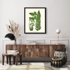 Crested Fern Botanical Wall Art Print-Charting Nature