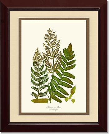 Flowering Fern Botanical Wall Art Print-Charting Nature
