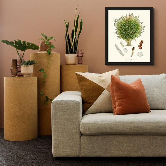 Cinnamon-Royal Fern Botanical Wall Art Print-Charting Nature