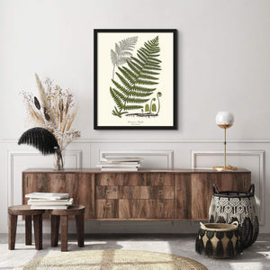 Common Brake Botanical Wall Art Print-Charting Nature