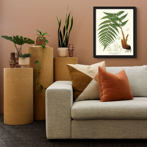 Marginal Shield Fern Botanical Wall Art Print-Charting Nature