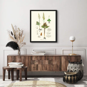 Rhizomatous Ferns Botanical Wall Art Print-Charting Nature