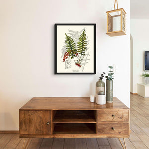 Liquorice Fern Botanical Wall Art Print-Charting Nature