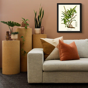 Netted Chain Fern Botanical Wall Art Print-Charting Nature