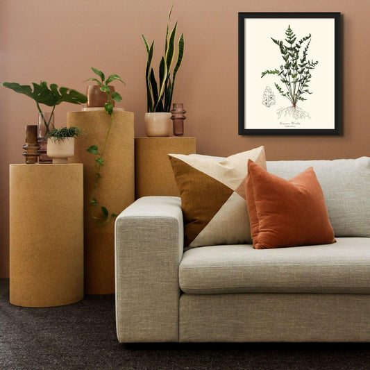 Common Woodsia Fern Botanical Wall Art Print-Charting Nature
