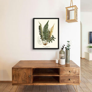 Chamisso Shield Fern Botanical Wall Art Print-Charting Nature