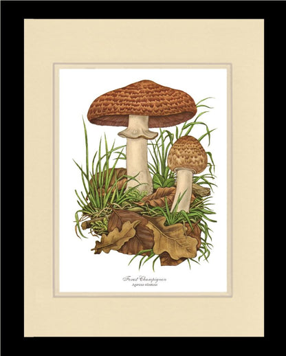 Forest Champignon Mushroom | Vintage Mushroom Art Print