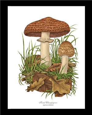 Forest Champignon Mushroom | Vintage Mushroom Art Print