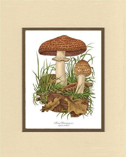 Forest Champignon Mushroom | Vintage Mushroom Art Print