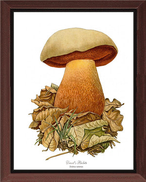 Devil's Bolete Mushroom | Vintage Mushroom Art Print
