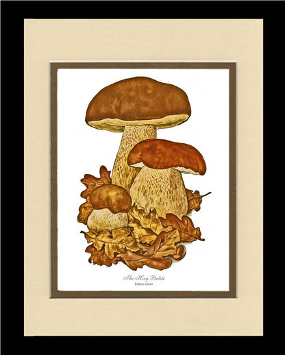 King Bolete Mushroom | Vintage Mushroom Art Print