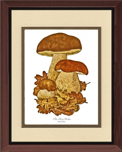 King Bolete Mushroom | Vintage Mushroom Art Print