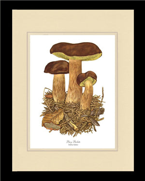 Bay Bolete Mushroom | Vintage Mushroom Art Print