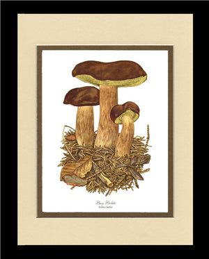 Bay Bolete Mushroom | Vintage Mushroom Art Print