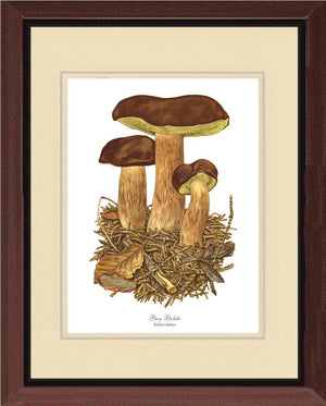Bay Bolete Mushroom | Vintage Mushroom Art Print