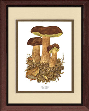 Bay Bolete Mushroom | Vintage Mushroom Art Print