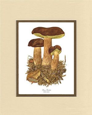 Bay Bolete Mushroom | Vintage Mushroom Art Print