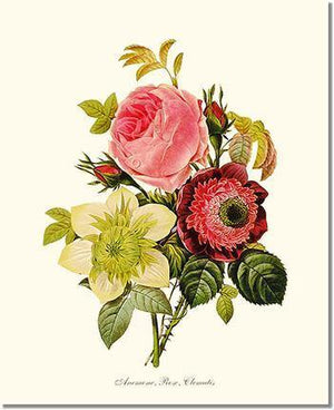 Anemone, Rose, Clematis