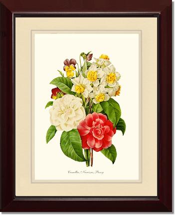 Camellia, Narcissus, Pansy | Flower/Floral Art Print