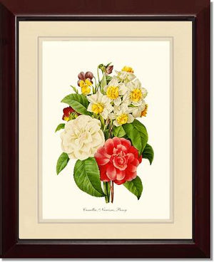 Camellia, Narcissus, Pansy