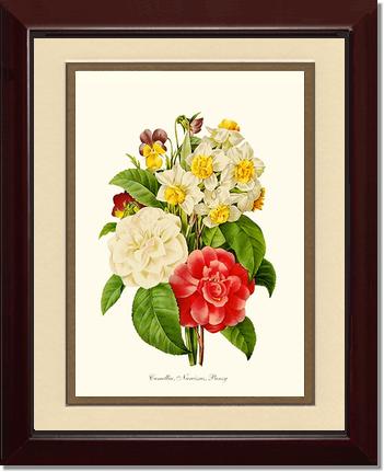 Camellia, Narcissus, Pansy | Flower/Floral Art Print