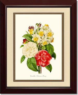 Camellia, Narcissus, Pansy