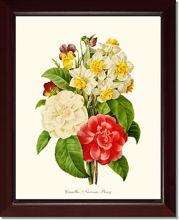 Camellia, Narcissus, Pansy | Flower/Floral Art Print