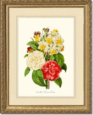 Camellia, Narcissus, Pansy