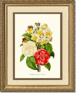 Camellia, Narcissus, Pansy