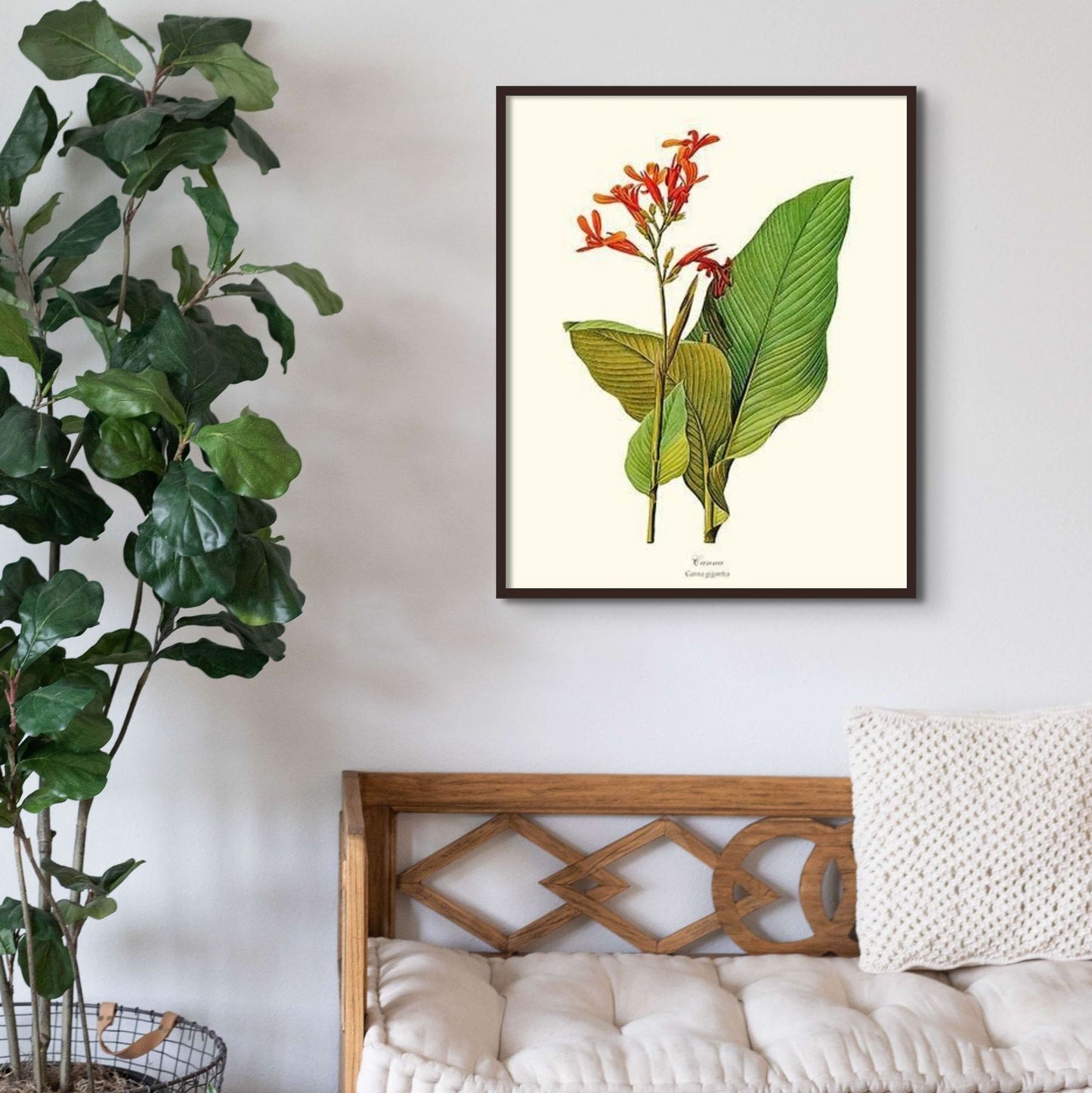 Canna | Flower/Floral Art Print