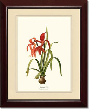 Lily, Jacobean | Flower/Floral Art Print