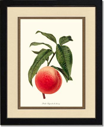 Peach, Superb de Choisy | Vintage Redouté's Fruit Art Print