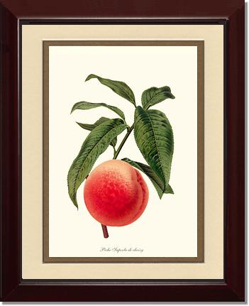 Peach, Superb de Choisy | Vintage Redouté's Fruit Art Print