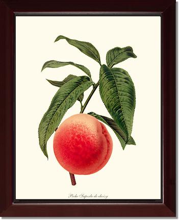 Peach, Superb de Choisy | Vintage Redouté's Fruit Art Print