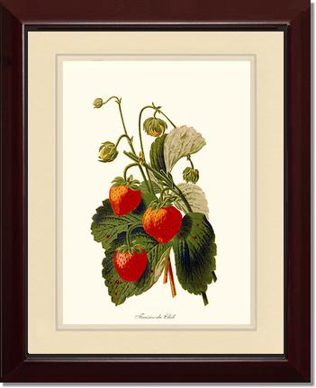Strawberries | Vintage Redouté's Fruit Art Print