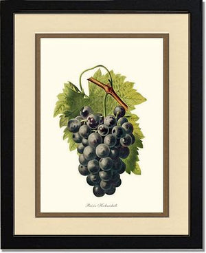 Grape, Kechmishali | Vintage Redouté's Fruit Wall art print