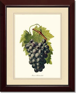 Grape, Kechmishali | Vintage Redouté's Fruit Wall art print